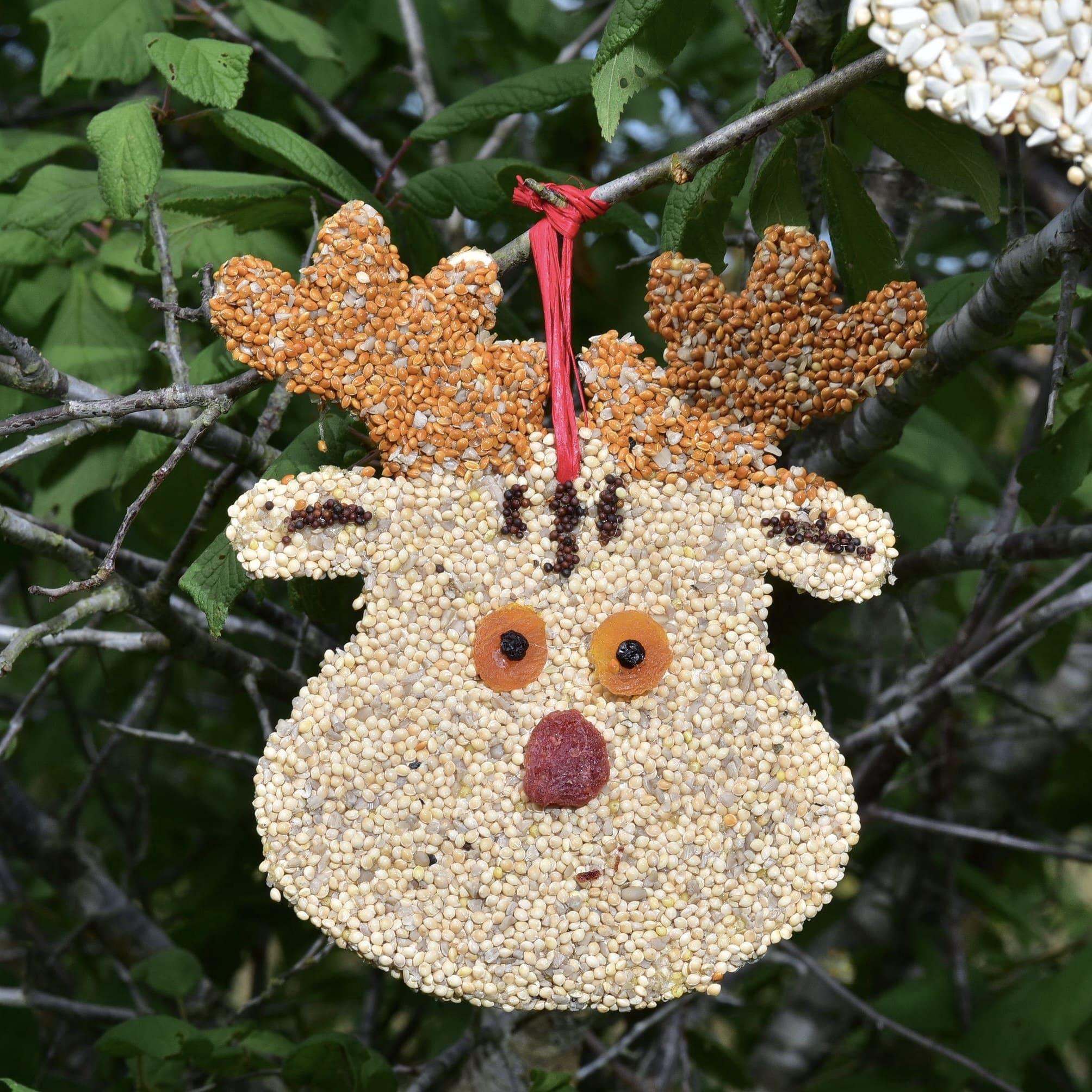 Bird Seed Cookie